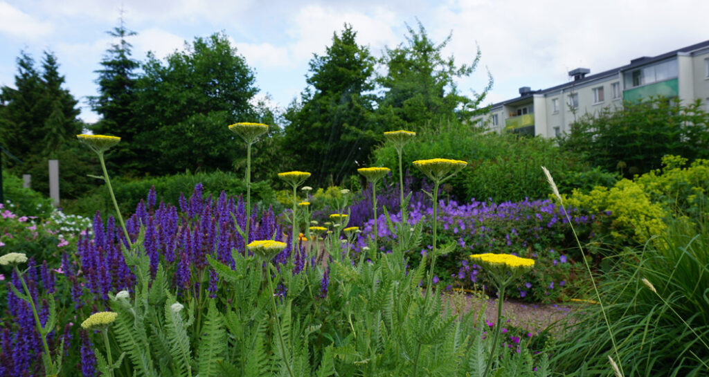 Blommor i gult och lila i Värdens Park.