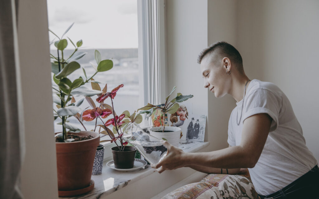 Person vattnar blommor i ett fönster