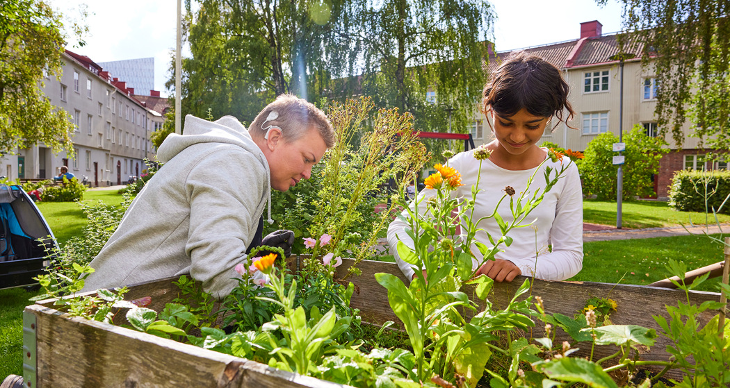 Miljövärd odlar i en pallkrage tillsammans med barn.